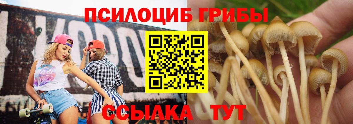 Псилоцибиновые грибы мицелий Верхний Уфалей